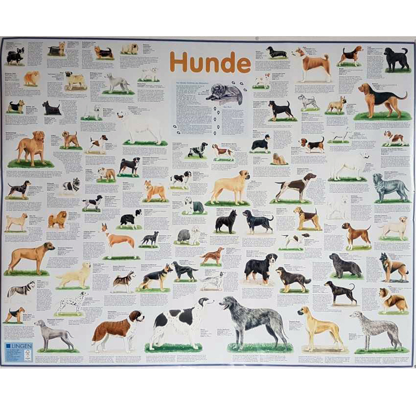 Grossposter \"Hunde\"